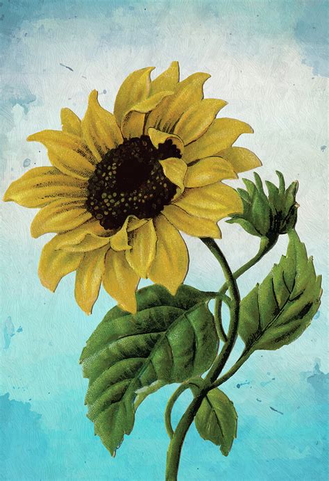 Sunflower Print Set of Two Wall Art Botanical Prints Floral Sunflowers Large Posters Home Decor ...