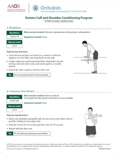 Range Of Motion Exercises For Shoulder Pain – Online degrees