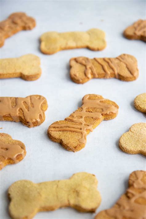 Grain-Free Pumpkin Coconut Dog Treats | Wholefully