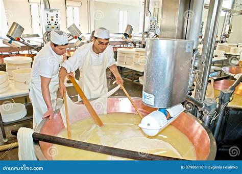 The cheese processing editorial stock photo. Image of industry - 87986118