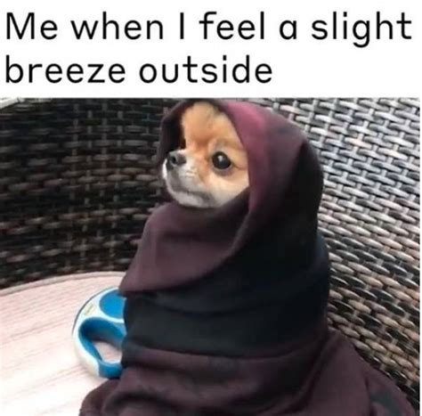 25 Ice Cold Memes For That One Friend Who's Always Freezing