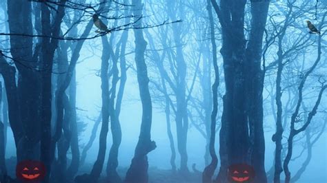 Halloween Forest Left Free Stock Video - Pixabay