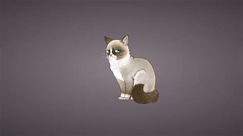 Grumpy Cat Wallpapers - Top Free Grumpy Cat Backgrounds - WallpaperAccess