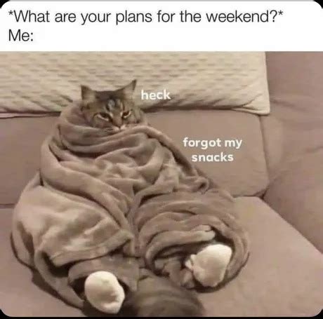 Weekend plans - Meme subido por XSAMANX :) Memedroid