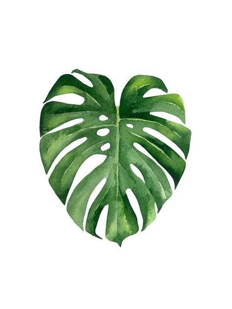 Tropical leaf by Ann Solo on Artfully Walls | Artfully Walls