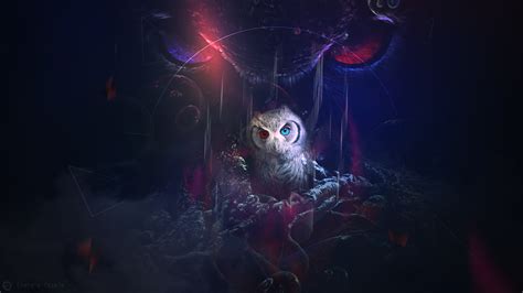 Mystic Owl Wallpapers | HD Wallpapers | ID #30170