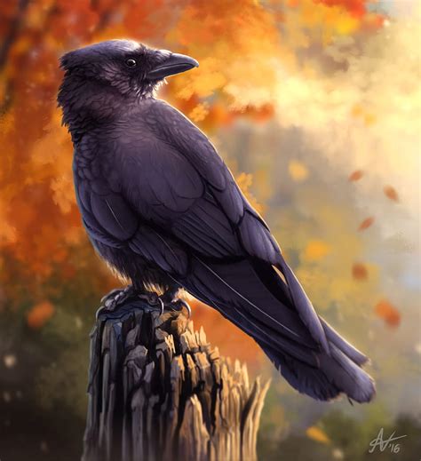 Raven Bird Art