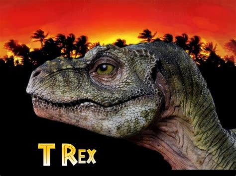 Baby T-Rex by DsKoRn on DeviantArt