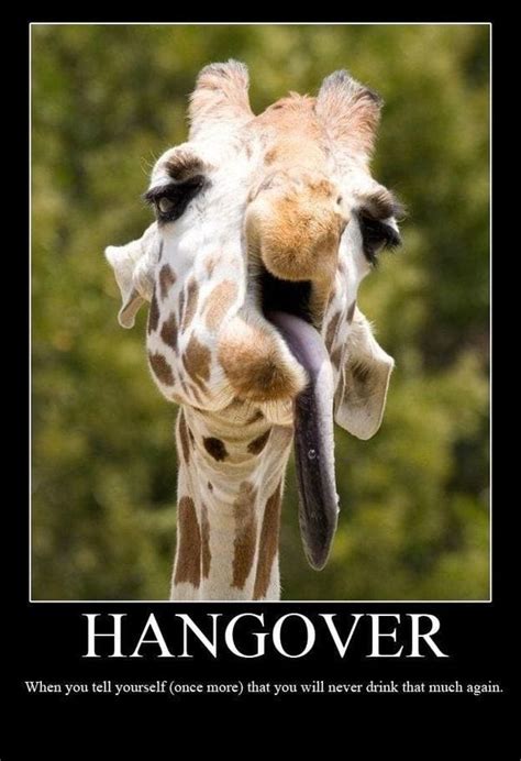 Hangover Memes - Funny Hang Over Pics