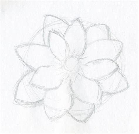 Lotus Flower Drawings Made Easy