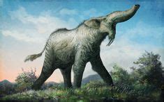 54 Best Deinotherium images | Prehistoric animals, Prehistoric, Extinct ...