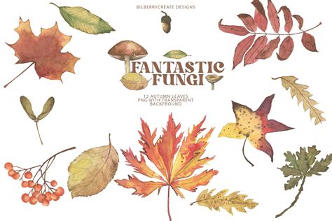 Watercolor Fall Leaves Clipart, Fall Graphic by BilberryCreate · Creative Fabrica