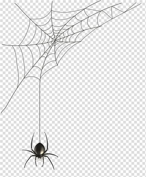 Spider web with spider transparent background PNG clipart