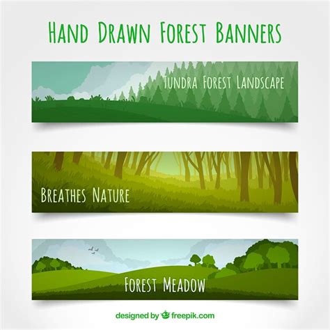 Premium Vector | Hand drawn forest banner collection