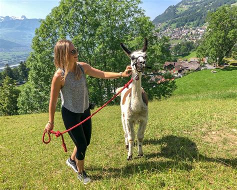 Llama Trekking | Unique Things to do in Liechtenstein - lauren on location