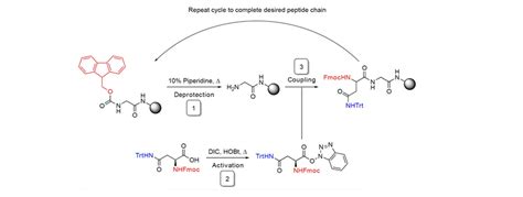 Peptide synthesis - continuous flow chemistry - Vapourtec