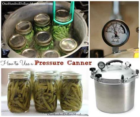 Beginners Guide To Pressure Canning - The Prepared Page