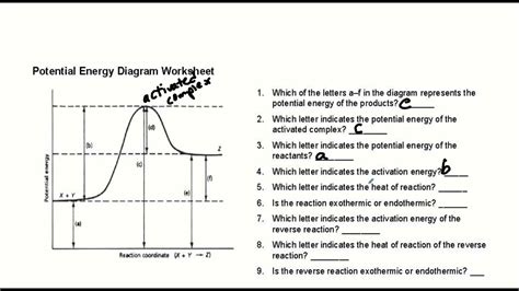 Potential Energy Diagram Labeled