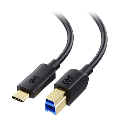 Buy Cable Matters Type-C USB 3.1 Type B Cable (USB-C / USB C USB B 3.0 / Type-C USB 3.1 to USB B ...