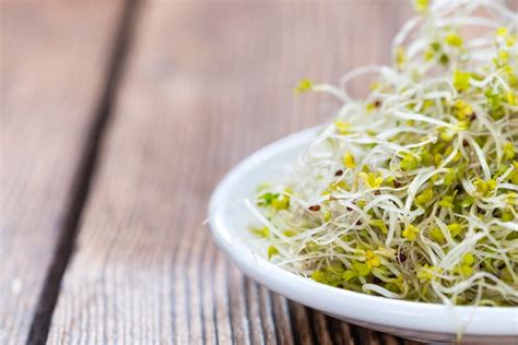 Premium Photo | Broccoli sprouts