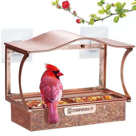 10 Best Window Dove Bird Feeders for Easy Viewing and Feeding - Hummingbirds Plus