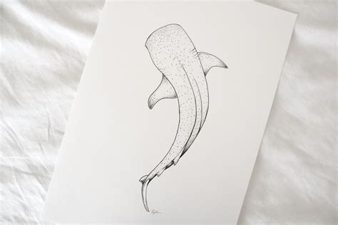 Whale shark drawing fine line artwork. Sea life animal illustration. Wall decor