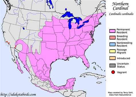 Northern Cardinal - Species Range Map