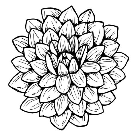 How to Draw a Dahlia: Step-by-Step Tutorial - The Happy Ever Crafter Inc. | Dahlia, Flower ...