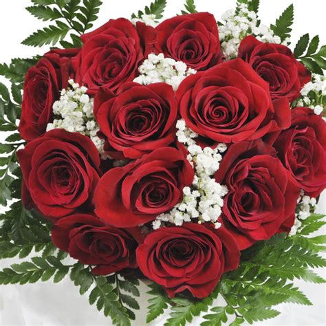 CLASSIC ONE DOZEN RED ROSE BOUQUET - Cranbury Fields