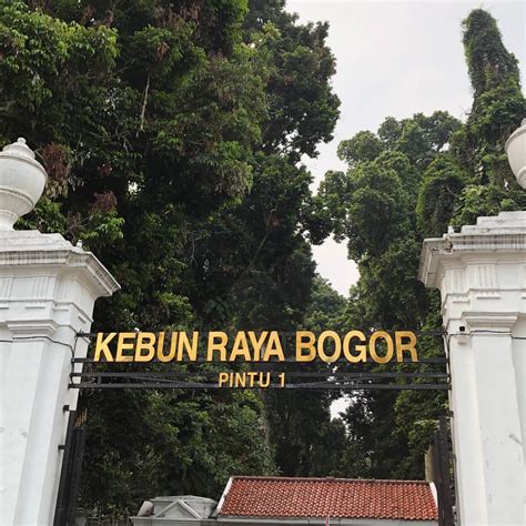 Kebun Raya Bogor | Pemandangan, Gambar, Fotografi perjalanan