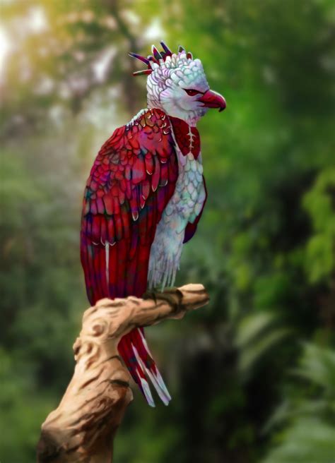 ArtStation - Rainbow Harpy Eagle , Godserg _art #eagles | Rare animals, Beautiful birds, Most ...