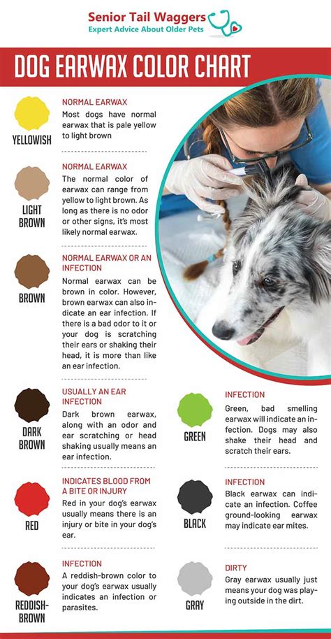 Dog Ear Wax Color Chart: When Color Can Indicate a Problem