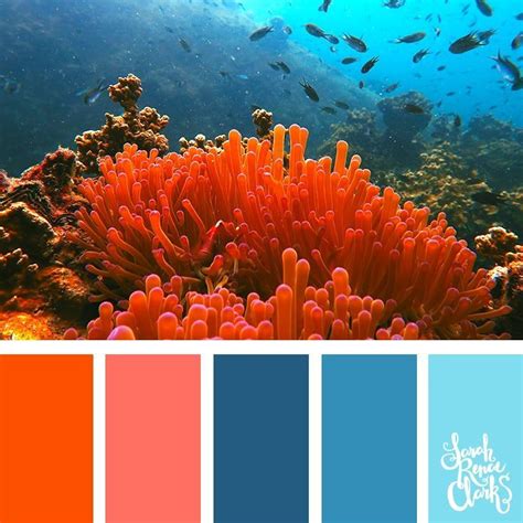 25 Color Palettes Inspired by Ocean Life and PANTONE Living Coral | Coral colour palette, Coral ...