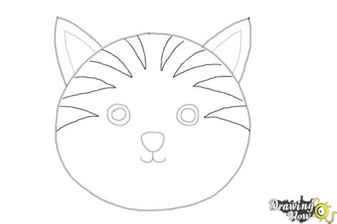 How to Draw a Cat Face - DrawingNow