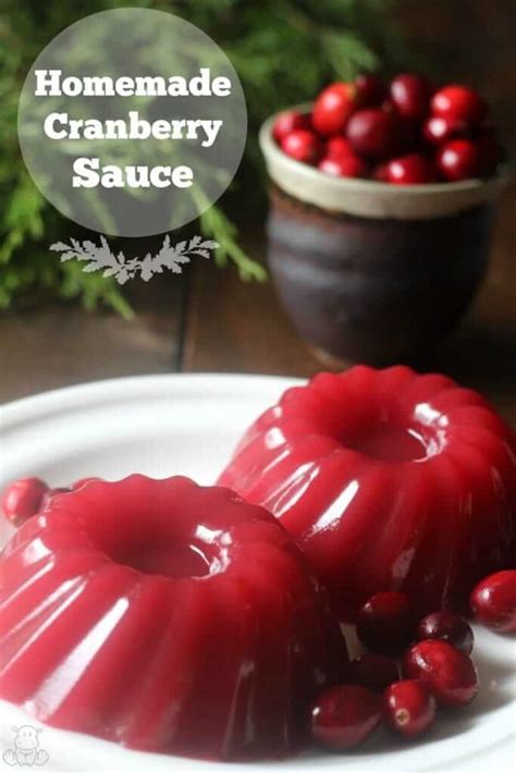 Jellied Cranberry Sauce Recipe - Paleo & GAPS friendly