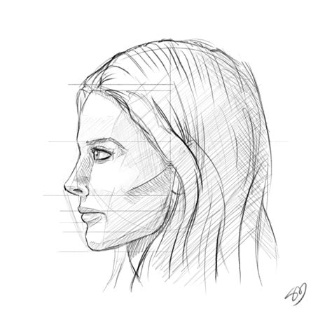 Female Face Drawing Images at GetDrawings | Free download