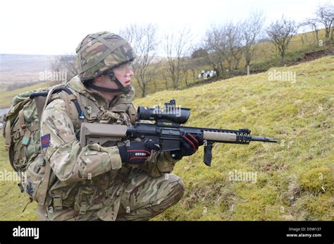 L129A1 Sharpshooter / Sniper rifle, as issued to British army Stock Photo: 55254059 - Alamy