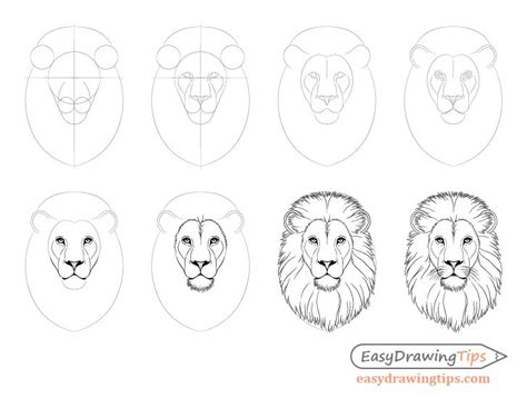 Lion Face Drawing Easy Step By Step ~ 18hyper-realistic Pencil Drawings By Romanian Artist ...