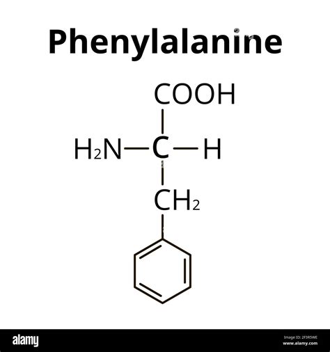 Phenylalanine is an amino acid. Chemical molecular formula Phenylalanine Amino Acid. Vector ...