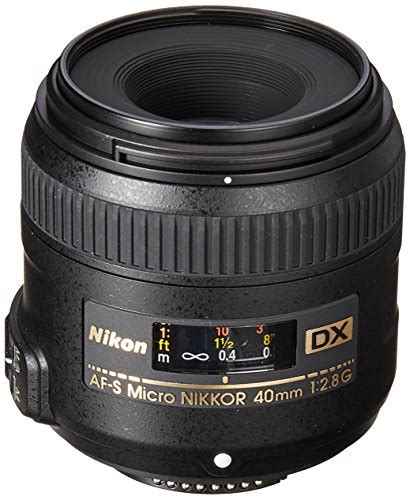 Best Nikon Macro Lenses in 2022 [Top 5 Picks] - CameraGurus