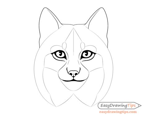 How to Draw a Lynx Face & Head Step by Step - EasyDrawingTips