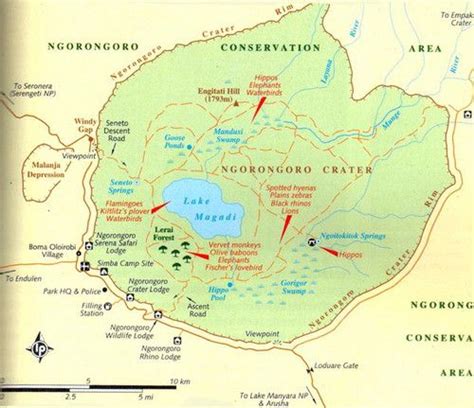 Ngorongoro Crater Map - map of ngorongoro crater