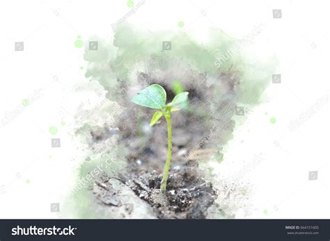 Small Tree On Watercolor Splash Background Stock Illustration 664151605 | Shutterstock