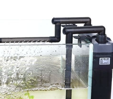 Best Filter for Turtle Tank: 10 Canister Filters for Turtles Aquarium