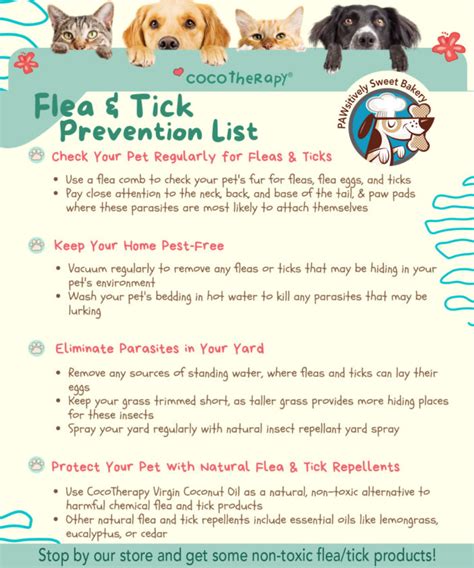 Flea Prevention Tips for the Texas Summer - PAWsitively Sweet Bakery