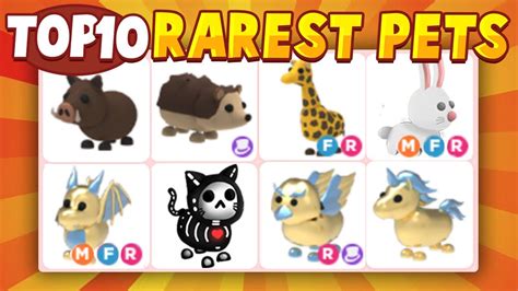 Top 10 Rarest Pets In Adopt Me! Roblox adopt Me - YouTube