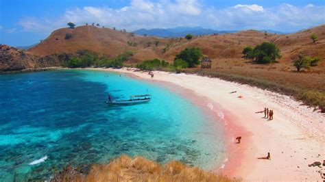 The Marvelous Pink Beach at Labuan Bajo - Indoindians.com