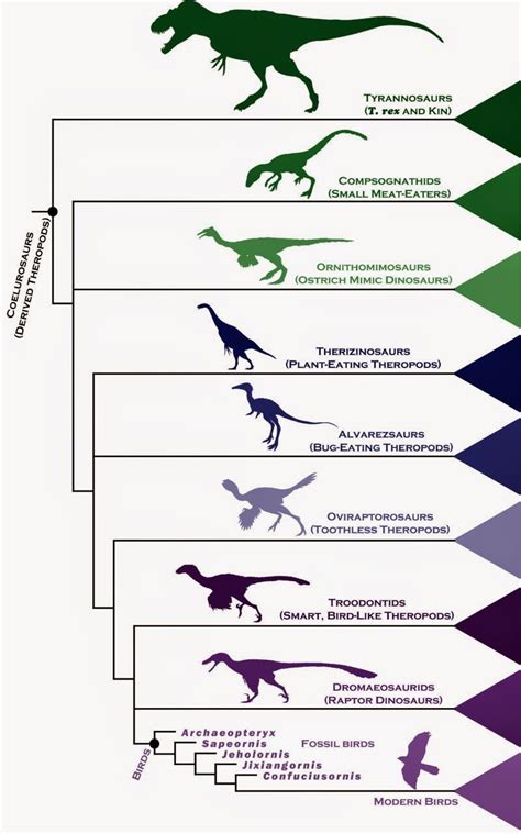 Geology IN: Dinosaur family tree gives fresh insight into rapid rise of birds | Modern birds ...