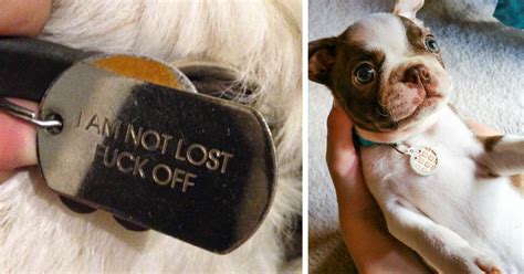 44 Hilarious Collar Tags For Pets Who Tend To Get Lost | Bored Panda