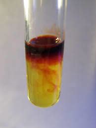 Ferric Chloride Solution at Best Price in Ankleshwar, Gujarat | Sukha Chemical Industries